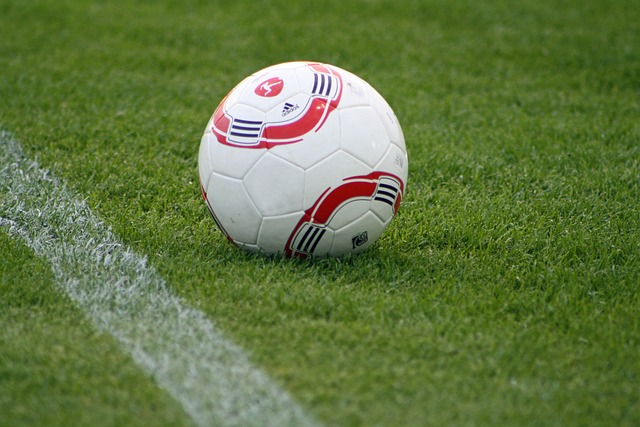 国议会选举 国议会选举